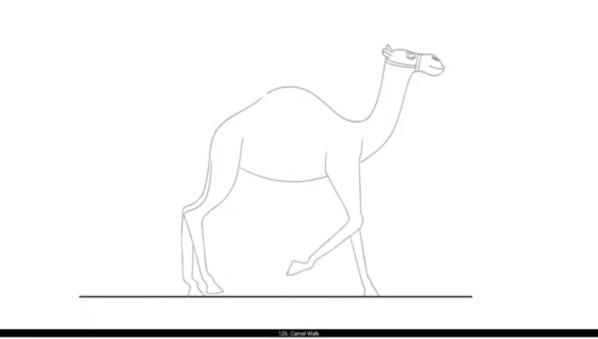 How To Start 2D Animation