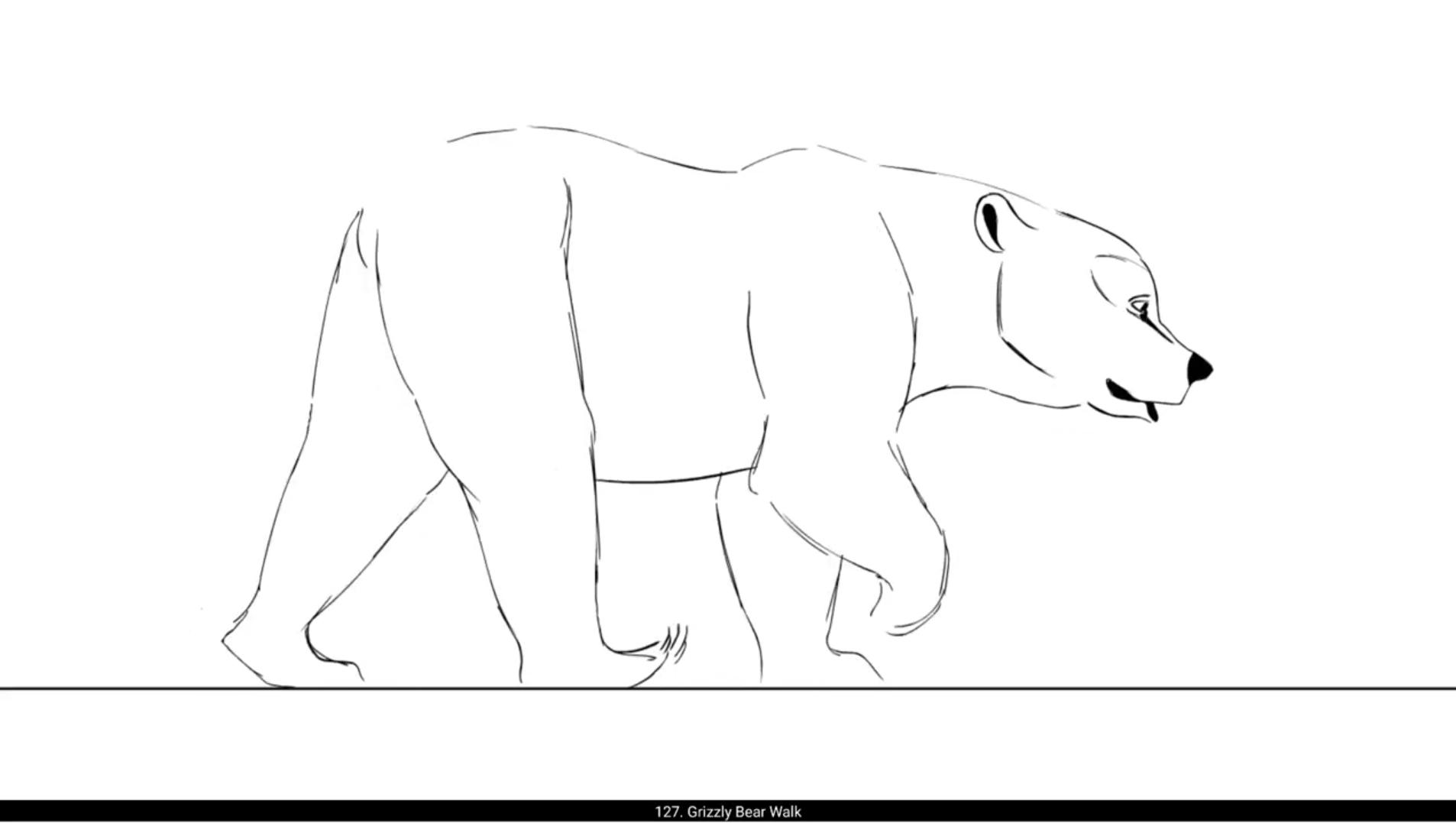 How To Start 2D Animation