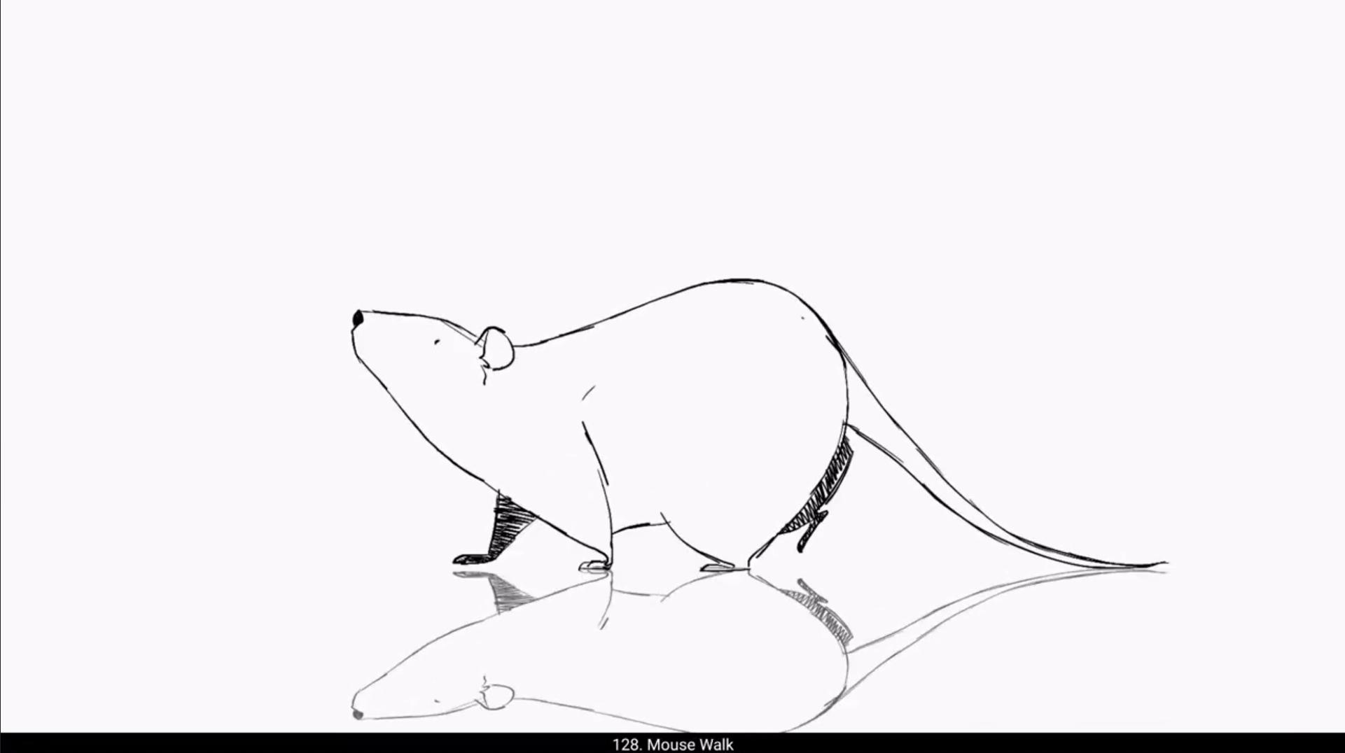 How To Start 2D Animation